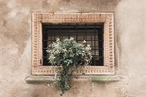 Vieille fenêtre à Vérone | photographie de voyage | Italie