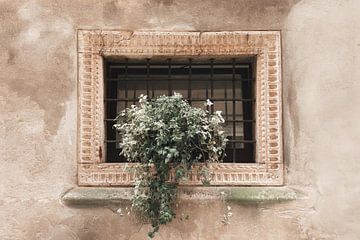 Oud venster in Verona | reisfotografie | Italië van Laura Dijkslag