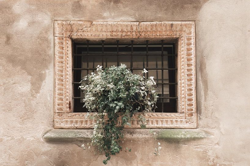 Altes Fenster in Verona | Reisefotografie | Italien von Laura Dijkslag