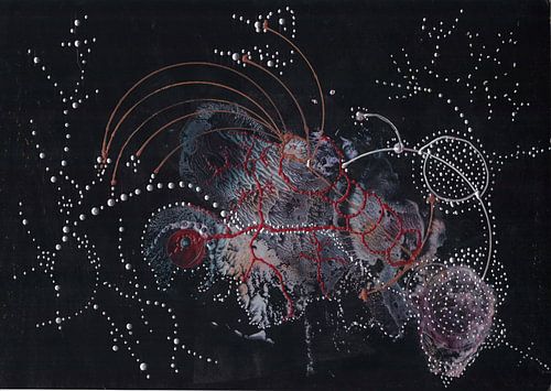 Please show me the way to... van Johan Briers