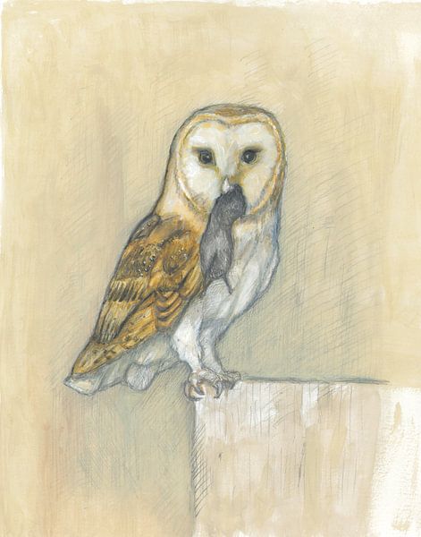 Barn owl with mouse by Tanja Koelemij
