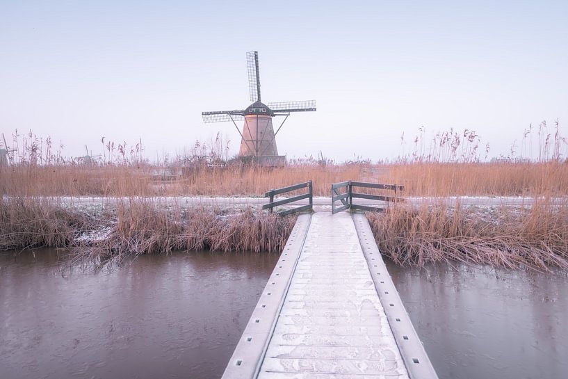 Nederwaard n° 3 par Adriaan Westra