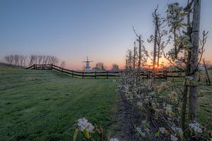 Magnifique lever de soleil au moulin à vent le Papillon