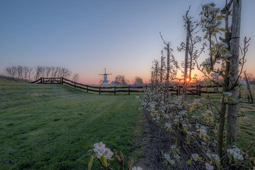 Prachtige zonsopkomst bij molen de Vlinder