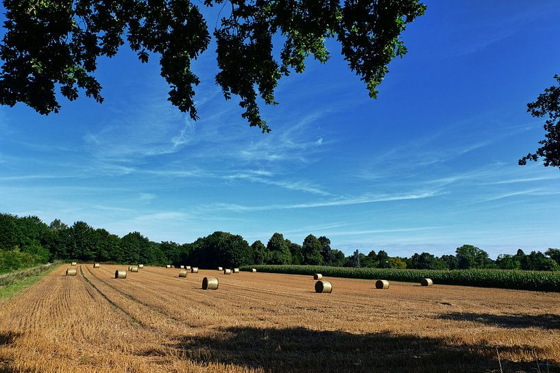 Erntezeit par Edgar Schermaul