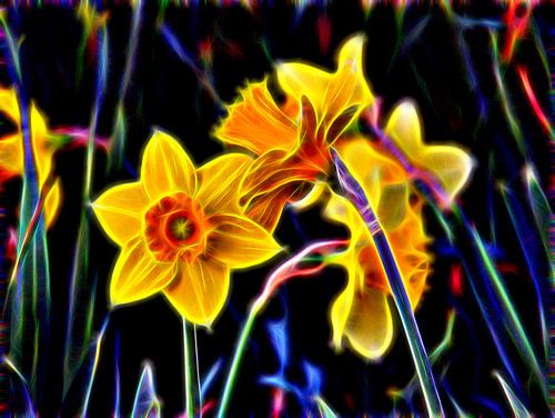 Neon Narcissen