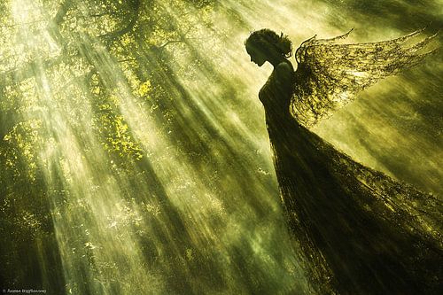 picturesque magical fantasy forest