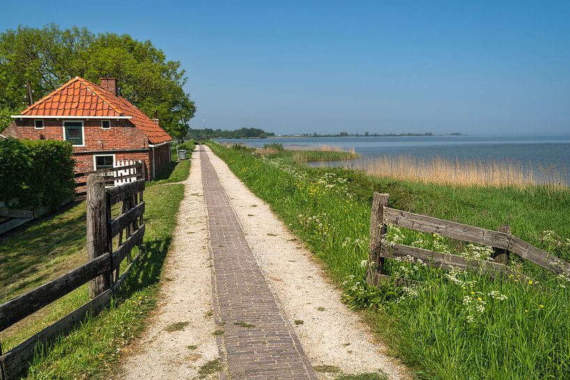 Ein Weg entlang des Deiches in der Nähe des Wattensees, mit einem Bauernhof auf der linken Seite der von Anges van der Logt