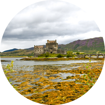 Schotland Eilean Donan Castle van Bianca  Hinnen