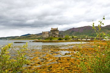 Schotland Eilean Donan Castle van Bianca  Hinnen