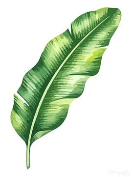 Tijdloze flora: bananenblad in wit