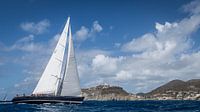 Saint Martin 4 by Laurens Morel thumbnail