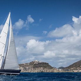 Sint Maarten 4 van Laurens Morel