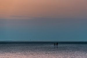 Early morning walk on the mud flat at the North sea