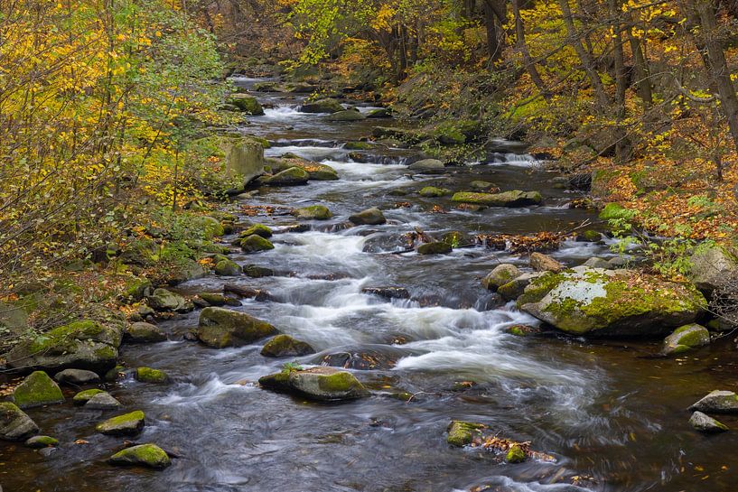 Bode 60 par Sven-Erik Arndt