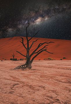Deadvlei in de Namib-woestijn, Sossusvlei, Namibië van Patrick Groß