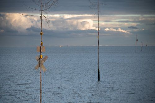 Grèves des moules, Escaut oriental, Schouwen-Duiveland, Zeelandbrug