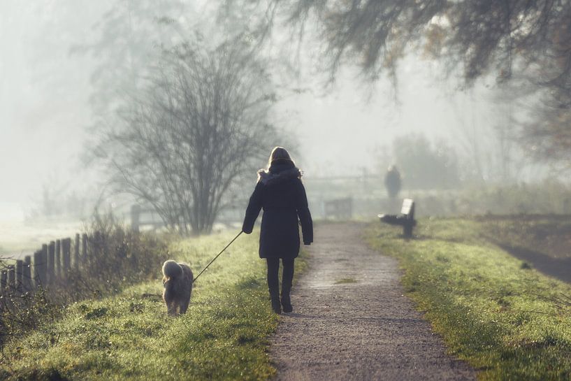 Persoon laat haar hondje uit in de vroege mistige ochtend van Chi