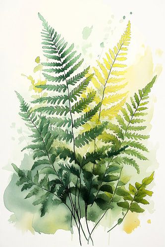 Varens in Aquarel no.2