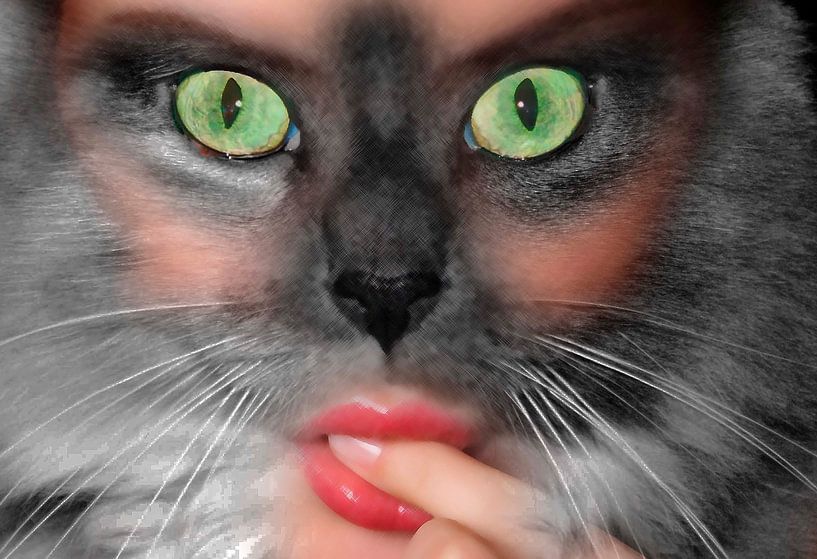 Donna gatta-Poes-Female cat-Chatte-Weibliche Katze-Mujer gato par aldino marsella