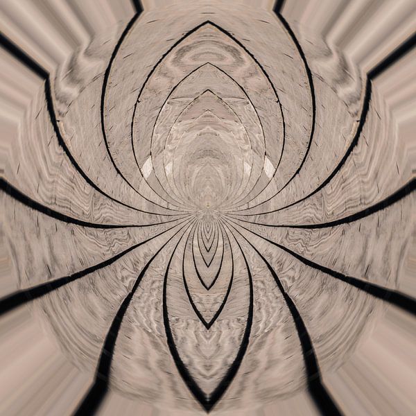 Spin? by Paul De Keizer