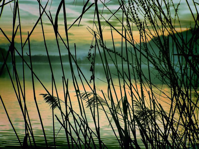 Am Fluß II by Ilona Picha-Höberth
