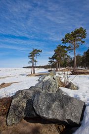 Bloc de pierre au premier plan et pins à l'arrière-plan du lac Baïkal enneigé sous un ciel bleu. sur Michael Semenov