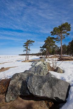 Stenen rotsblok op de voorgrond en pijnbomen op de achtergrond van het met sneeuw bedekte Baikalmeer van Michael Semenov