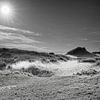 Paysage de dunes de Meijendel au lever du soleil sur eric van der eijk