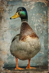 Canard