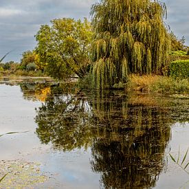 Mirror by Jakob Huizen van