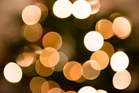 Lights