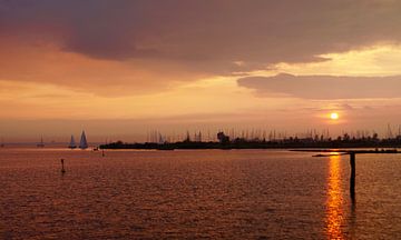 Wenn man die Sonne sieht, gleitet man ins Wasser. von Marion Meyer