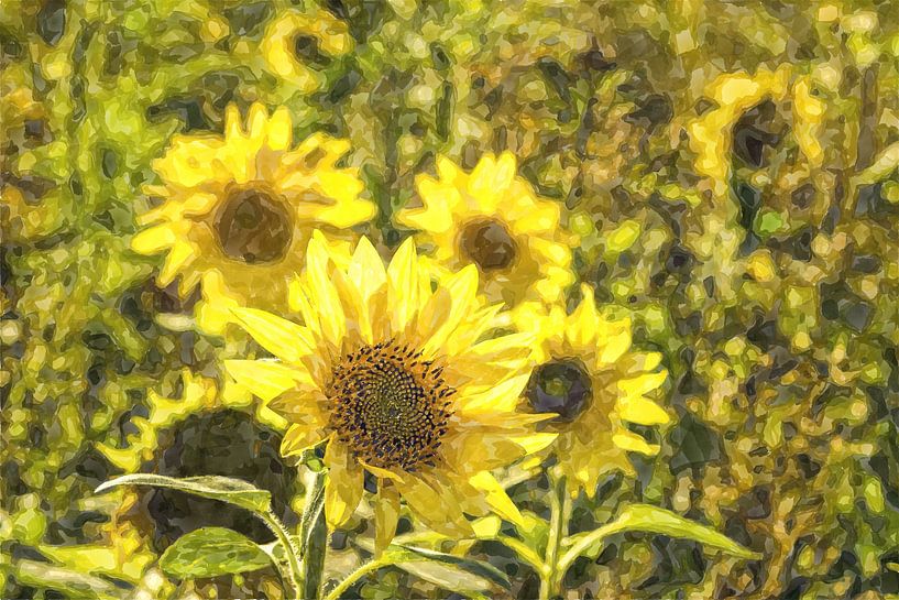 Sunflowers by Dieter Walther