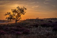 Sfeervol landschap zonsondergang