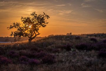 Sfeervol landschap zonsondergang van Danielle de Graaf
