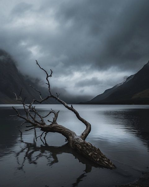 Boom in het meer van fernlichtsicht