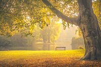 Wilhelminapark, Utrecht Oost