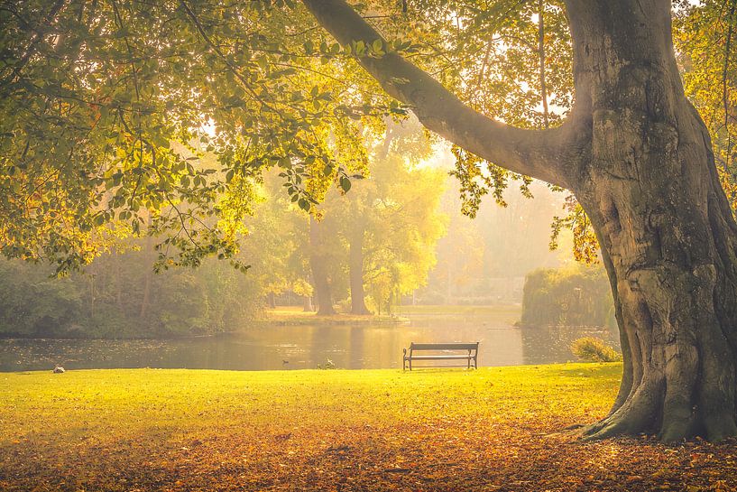 Wilhelminapark, Utrecht Oost von Alessia Peviani