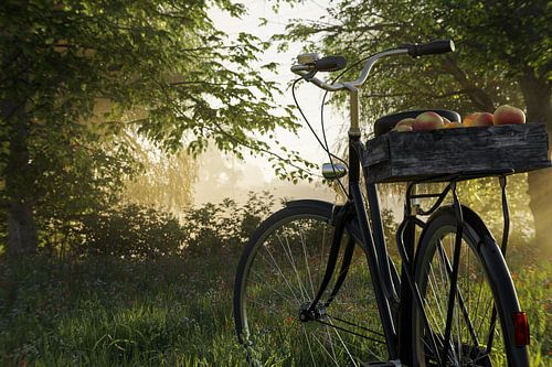 Stilstaande fiets voor een open plek in het bos