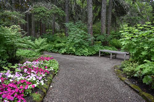 A garden path in summer