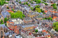 A city from above