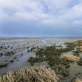 Waddenzee, bij Holwerd van Tieme Snijders