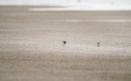 Together in the Silence by Job Vermeulen