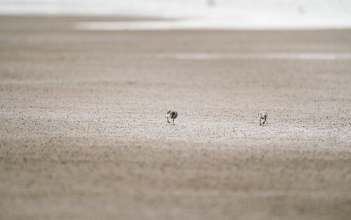 Ensemble dans le silence