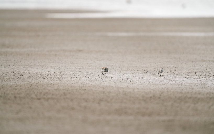 Together in the Silence by Job Vermeulen