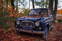 Altes Auto zwischen den Herbstlauben