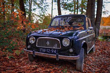 Altes Auto zwischen den Herbstlauben von Paul Lagendijk