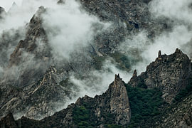 Tectonic Dissolve van Wondering Saif