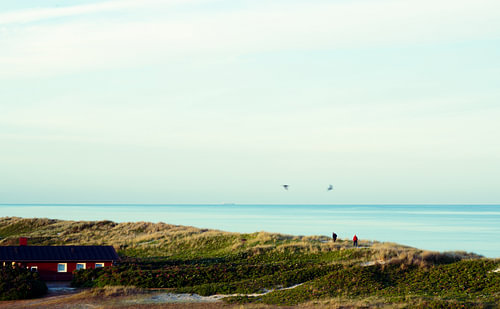 Zwei Spaziergänger, zwei Vögel, Skagen
